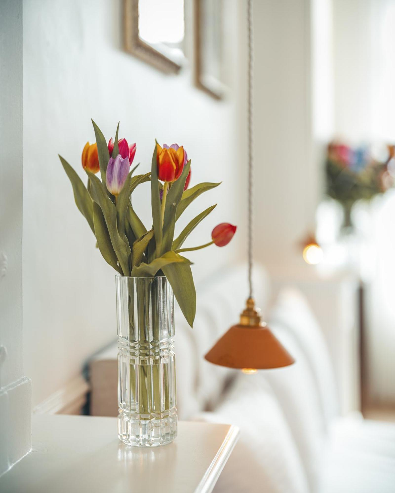 B&B Barabas Bruges Exterior photo